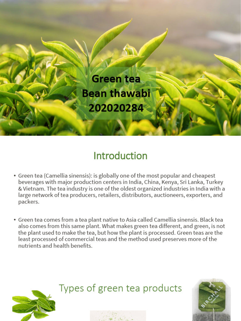 Organic Green Tea Premium Quality Loose Leaf Bulk