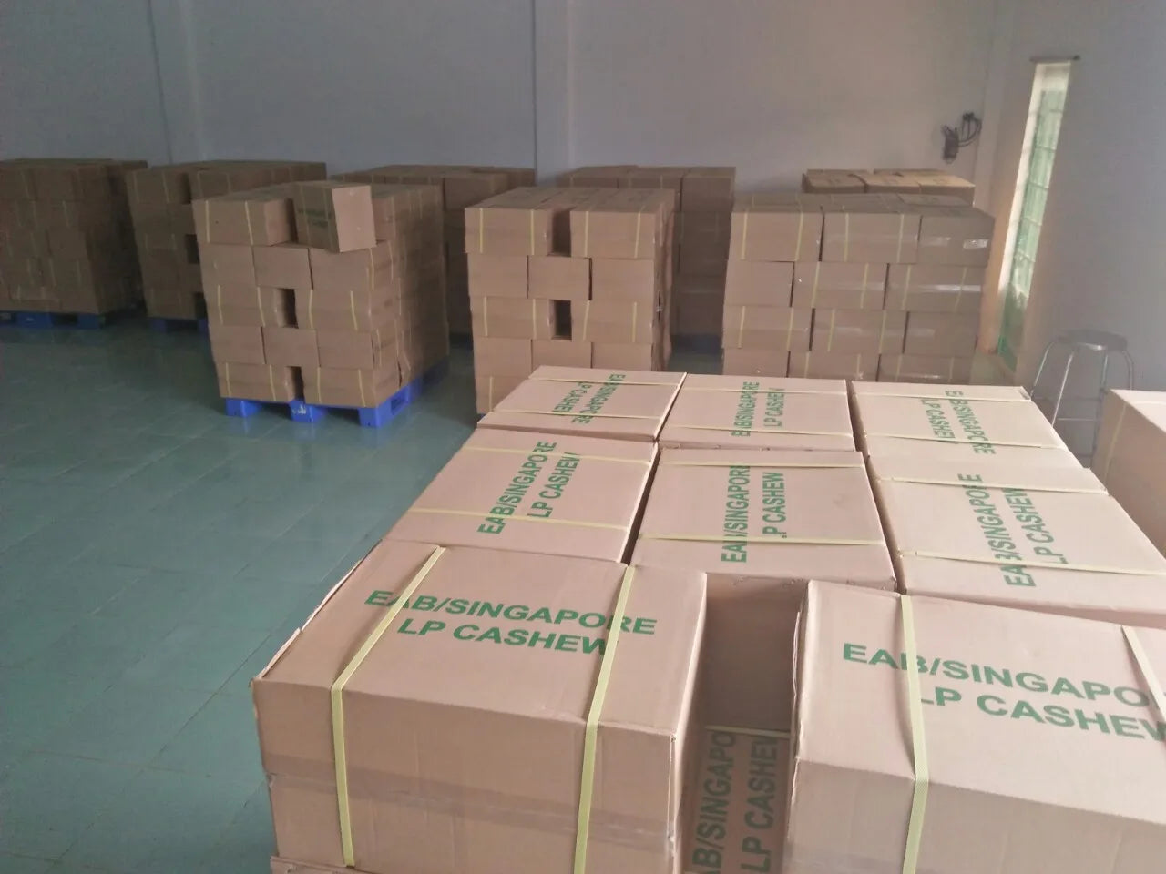 Cashew Nuts W320 W240 Raw Roasted Wholesale Bulk