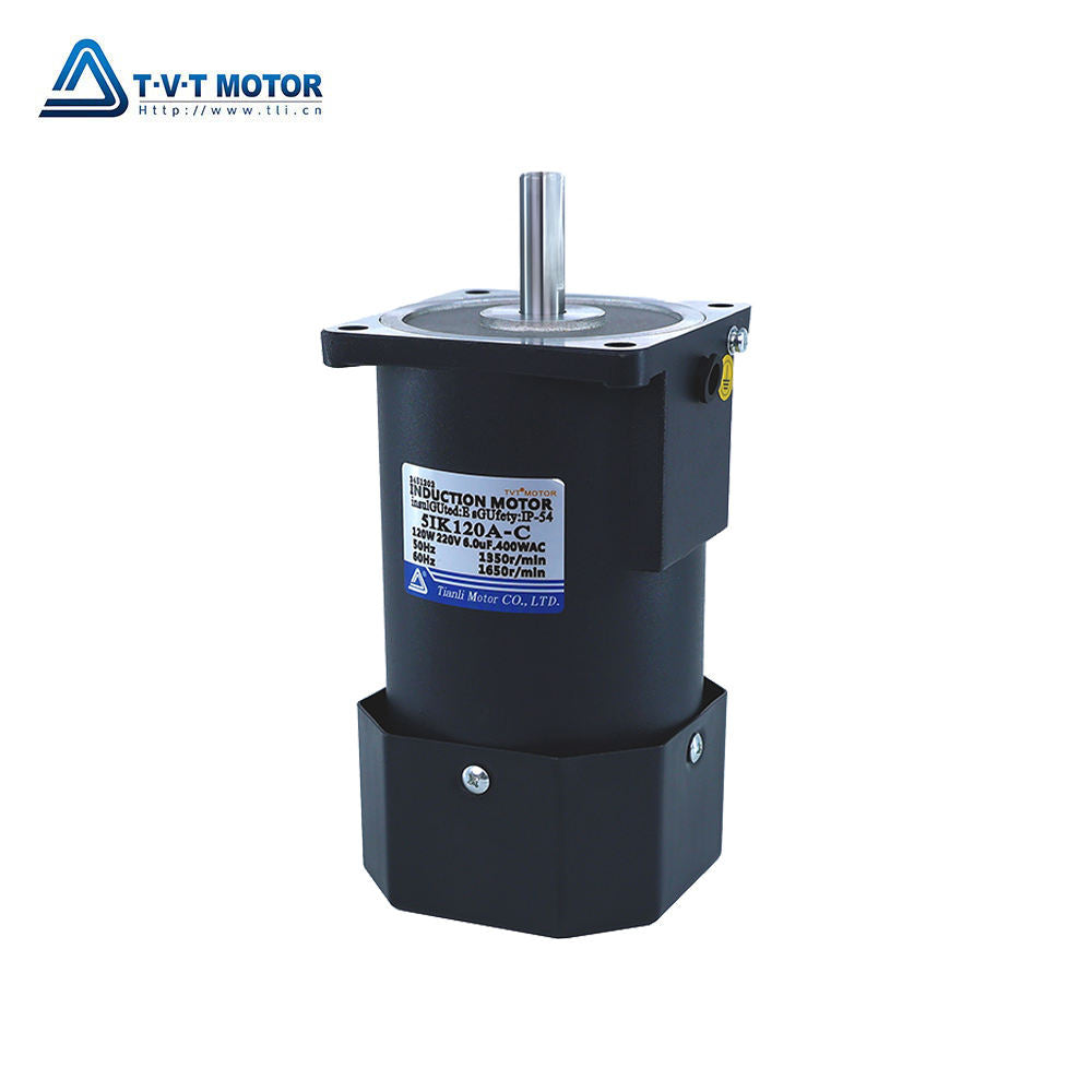 110V/220V 120W 11mm 12mm 50Hz/60Hz Fixed Type Micro AC Induction Motor