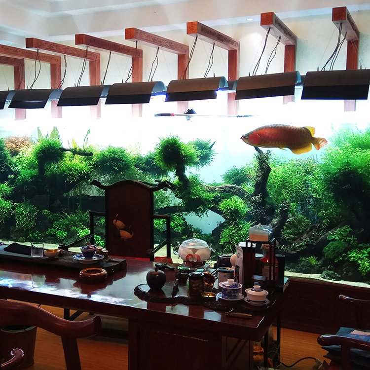 Ocean Park Large Custom Made Saltwater Aquarium, Clear Square Large Acrylic Aquarium Lucite Acrylic Fish Tank& AQUARIUMS Plastic