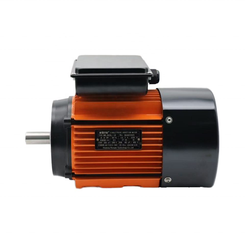 Single Phase Motor 2.2KW 220V Voltage Customized AC Motor High Torque Low Noise for Air Compressor Water Pump Fan Machine