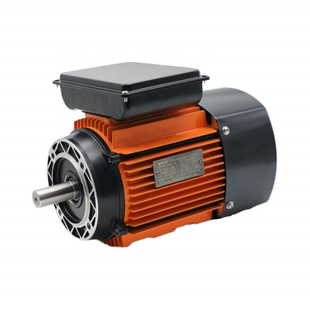 Single Phase Motor 2.2KW 220V Voltage Customized AC Motor High Torque Low Noise for Air Compressor Water Pump Fan Machine