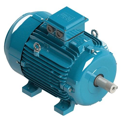 WEG Brand Electric Motor 1100rpm 440v 60hz Eff2 Iec60034 Cast Iron Motors WEG 3 Phase Motors