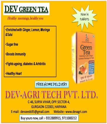 Organic Green Tea Premium Quality Loose Leaf Bulk